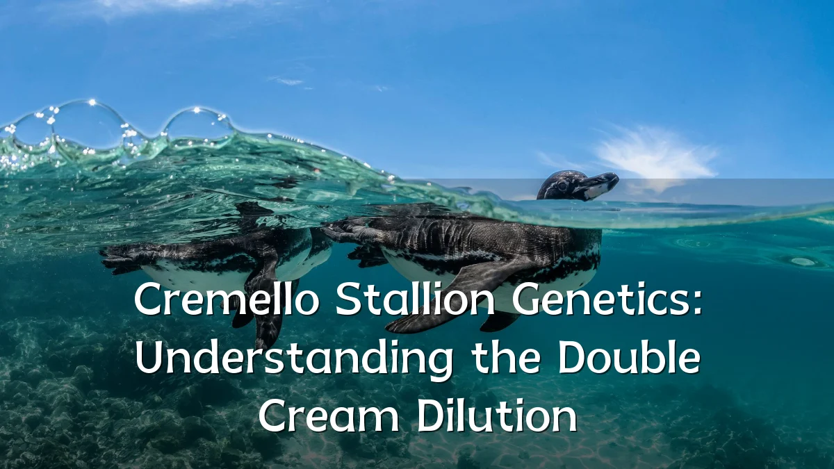 Cremello Stallion Genetics: Understanding the Double Cream Dilution