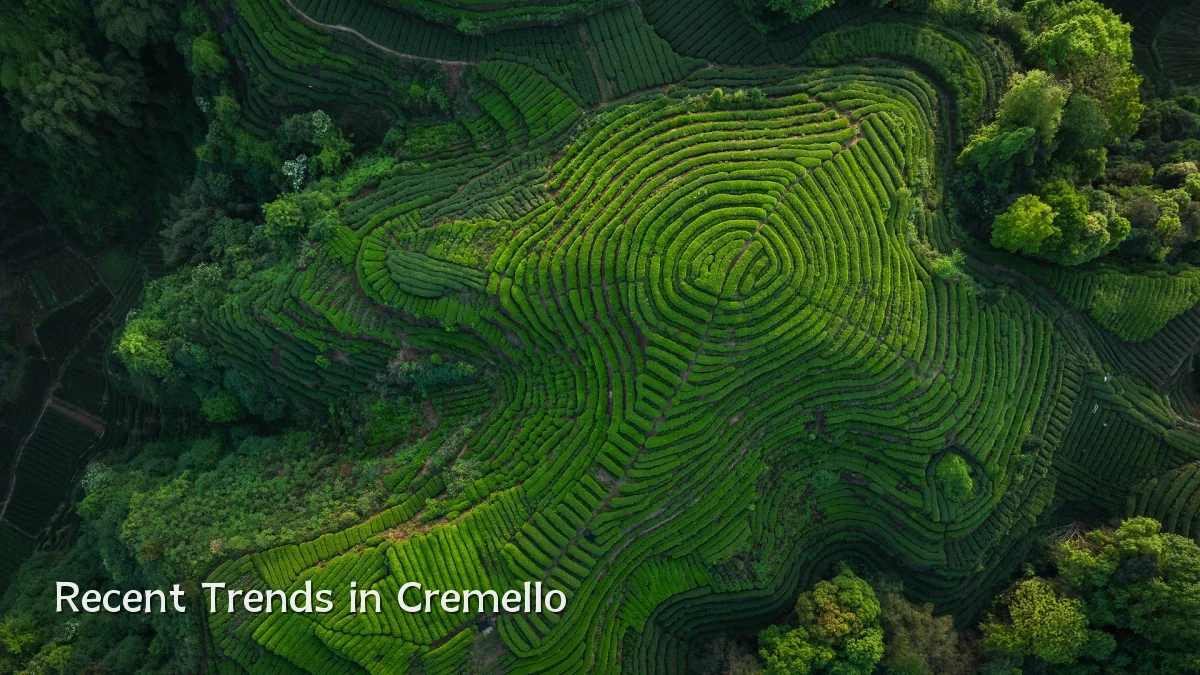 Recent Trends in Cremello