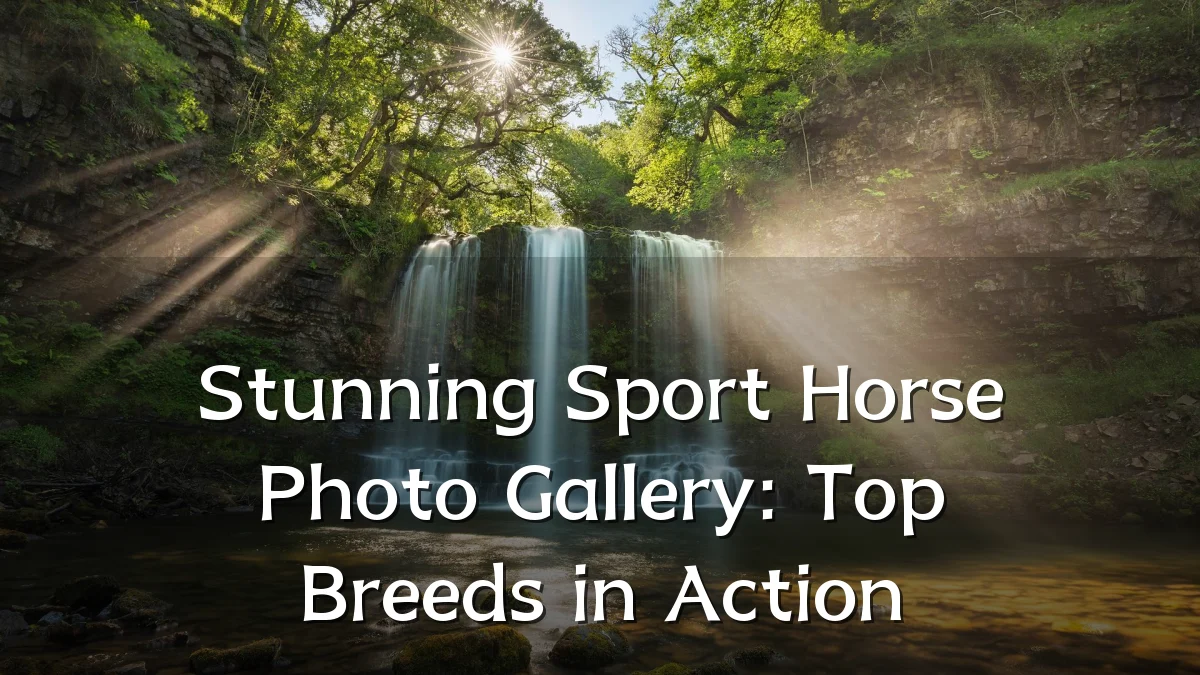 Stunning Sport Horse Photo Gallery: Top Breeds in Action