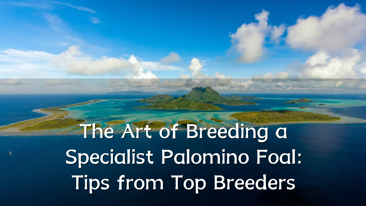 The Art of Breeding a Specialist Palomino Foal: Tips from Top Breeders