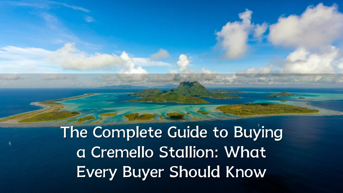The Complete Guide to Buying a Cremello Stallion: What Every Buyer Should Know