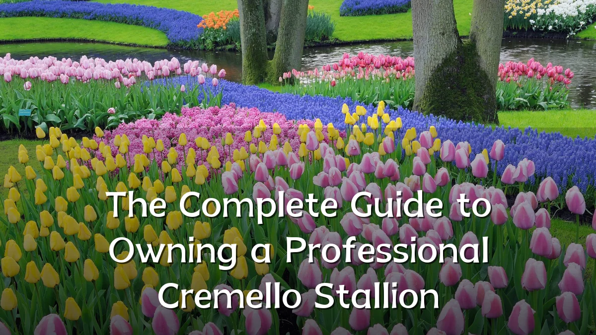 The Complete Guide to Owning a Professional Cremello Stallion