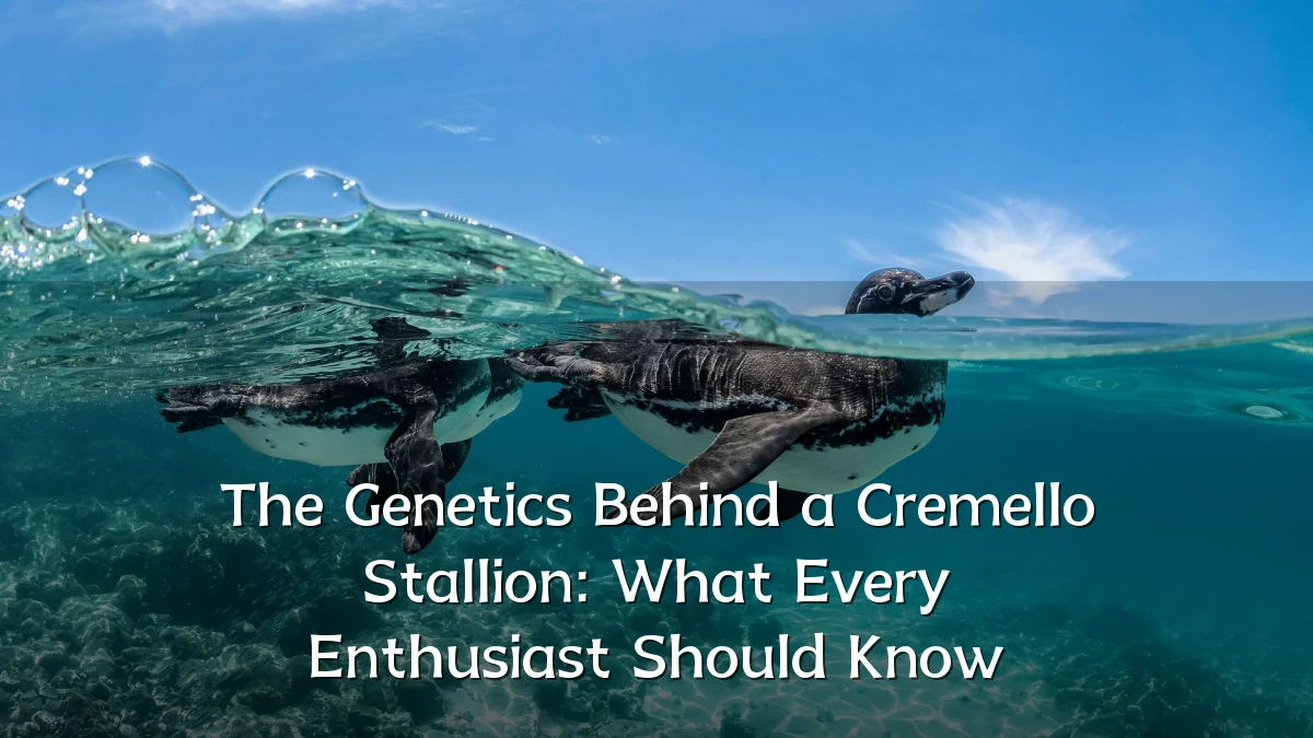 The Genetics Behind a Cremello Stallion: What Every Enthusiast Should Know