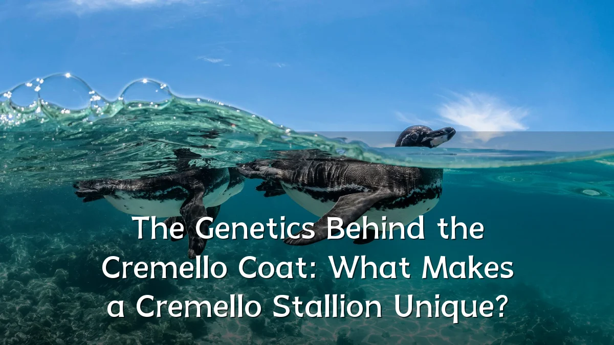 The Genetics Behind the Cremello Coat: What Makes a Cremello Stallion Unique?