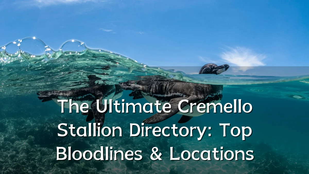 The Ultimate Cremello Stallion Directory: Top Bloodlines & Locations