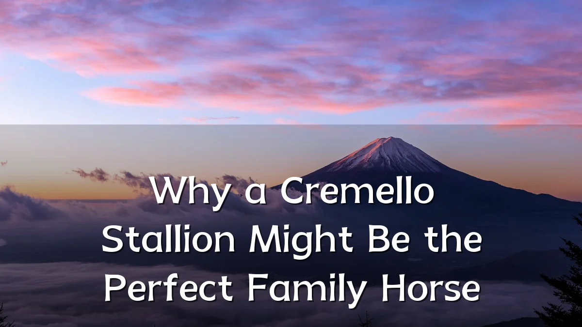 Why a Cremello Stallion Might Be the Perfect Family Horse