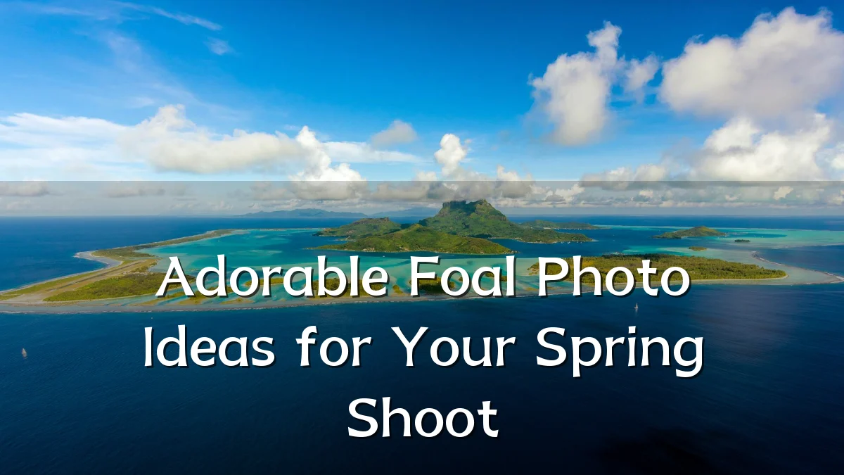 Adorable Foal Photo Ideas for Your Spring Shoot
