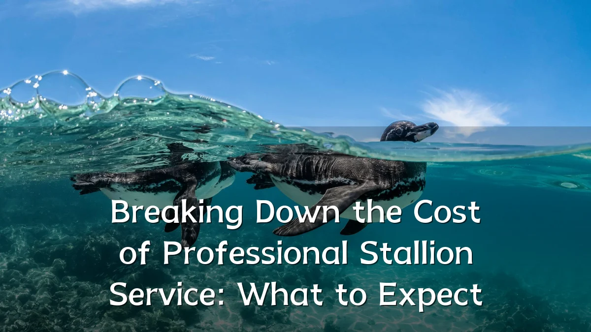 Breaking Down the Cost of Professional Stallion Service: What to Expect