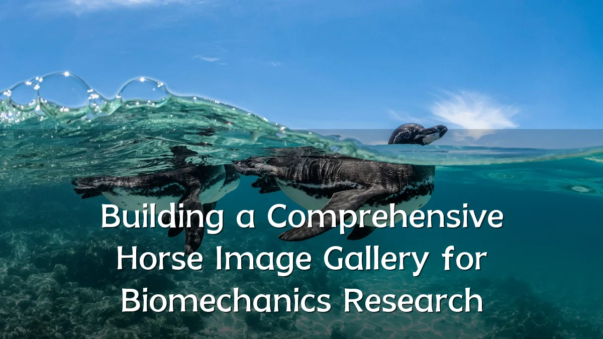 Building a Comprehensive Horse Image Gallery for Biomechanics Research