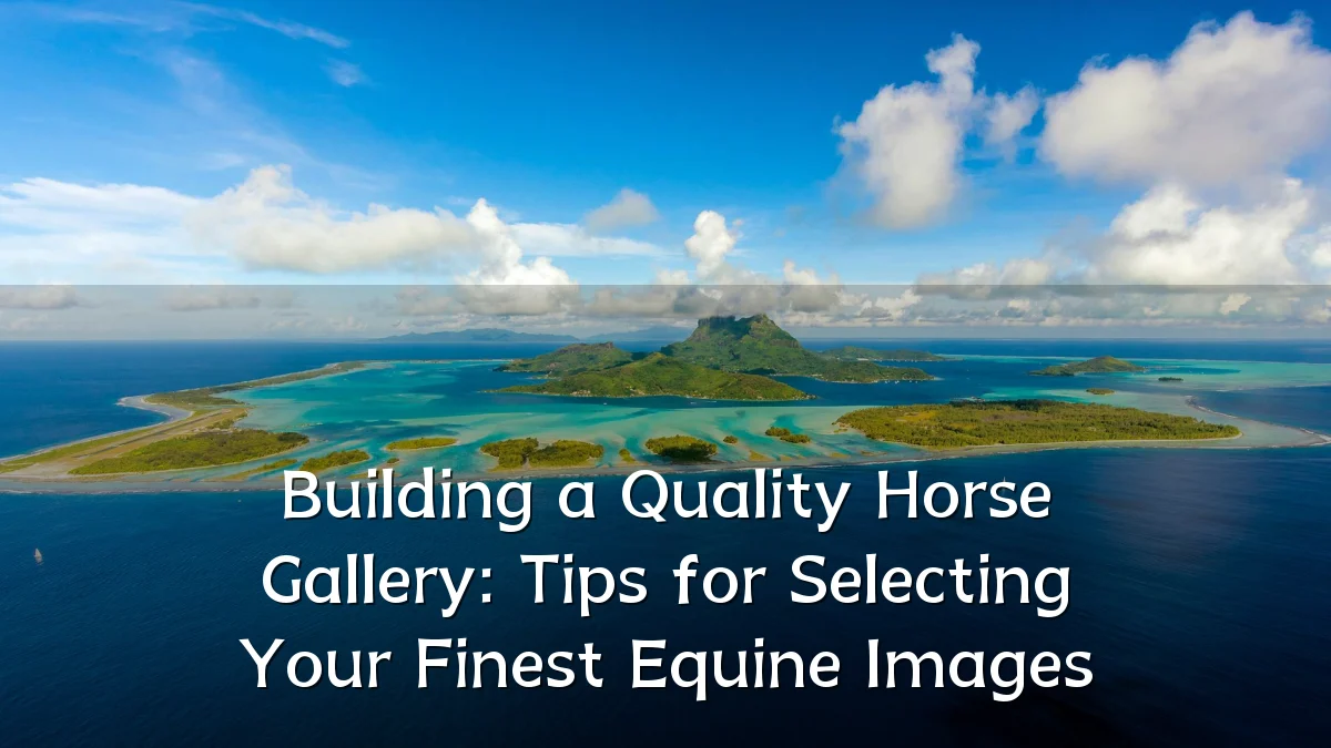 Building a Quality Horse Gallery: Tips for Selecting Your Finest Equine Images