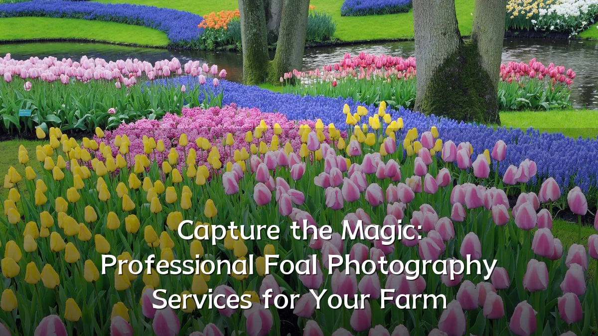 Capture the Magic: Professional Foal Photography Services for Your Farm