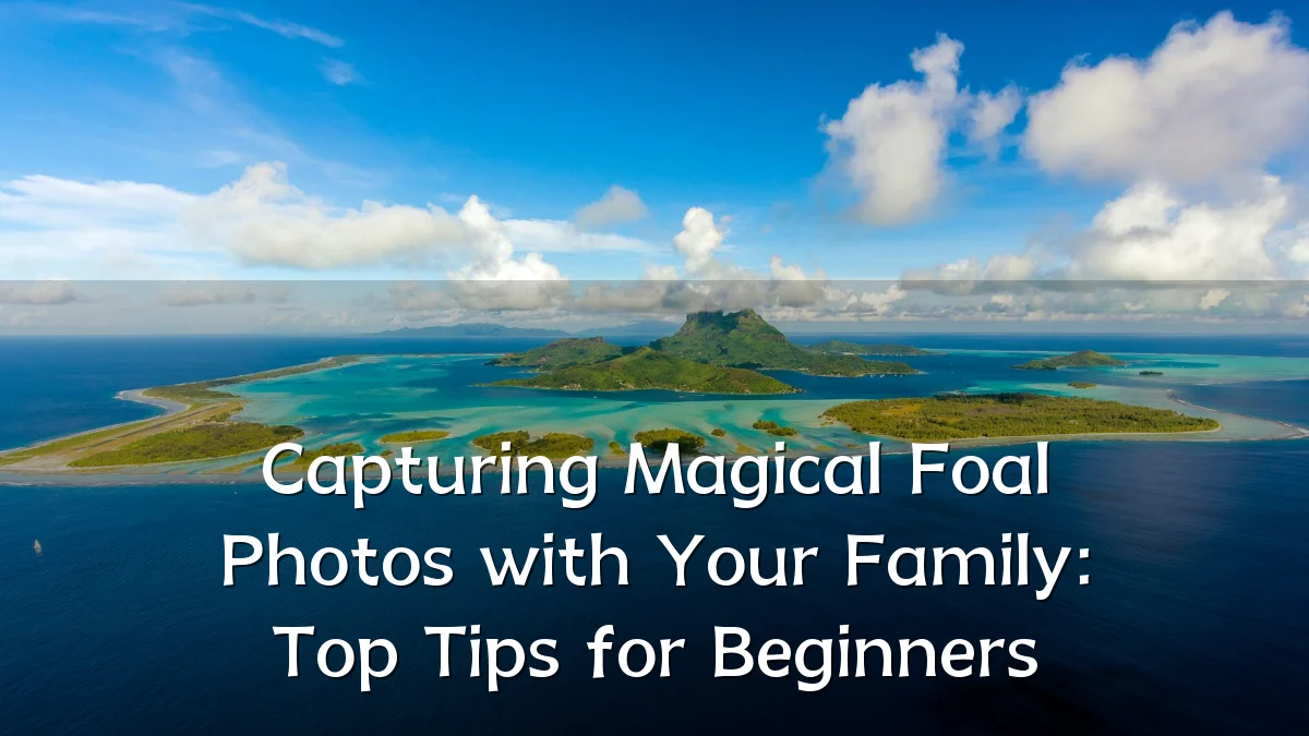 Capturing Magical Foal Photos with Your Family: Top Tips for Beginners