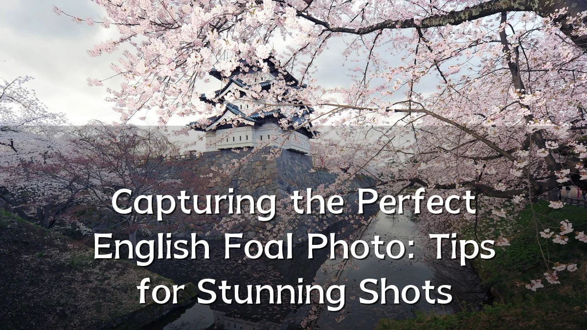Capturing the Perfect English Foal Photo: Tips for Stunning Shots