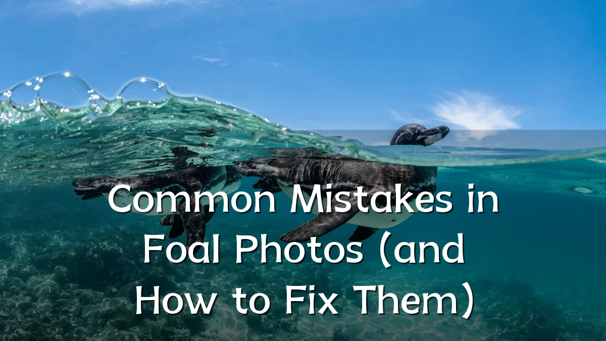 Common Mistakes in Foal Photos (and How to Fix Them)