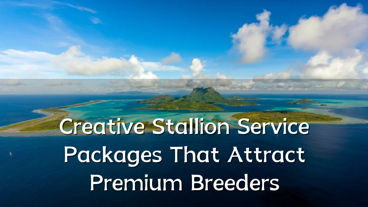 Creative Stallion Service Packages That Attract Premium Breeders