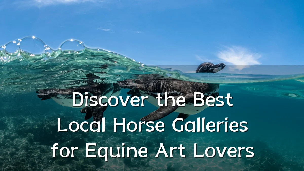 Discover the Best Local Horse Galleries for Equine Art Lovers