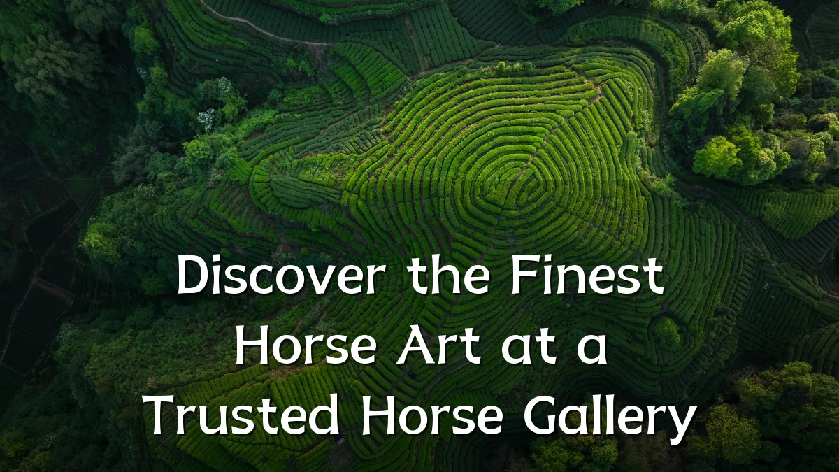 Discover the Finest Horse Art at a Trusted Horse Gallery