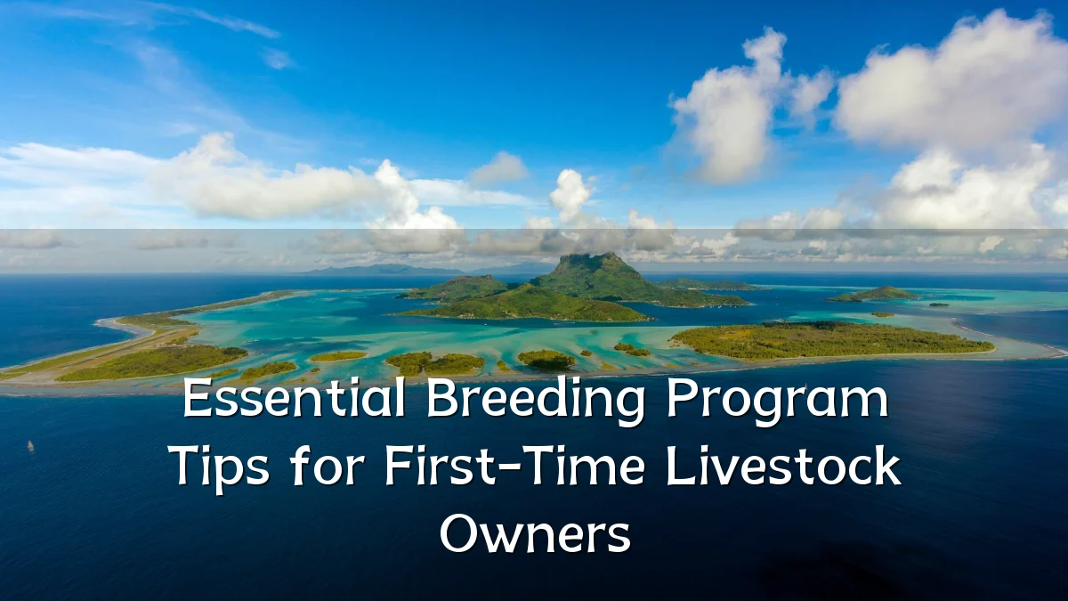 Essential Breeding Program Tips for First-Time Livestock Owners