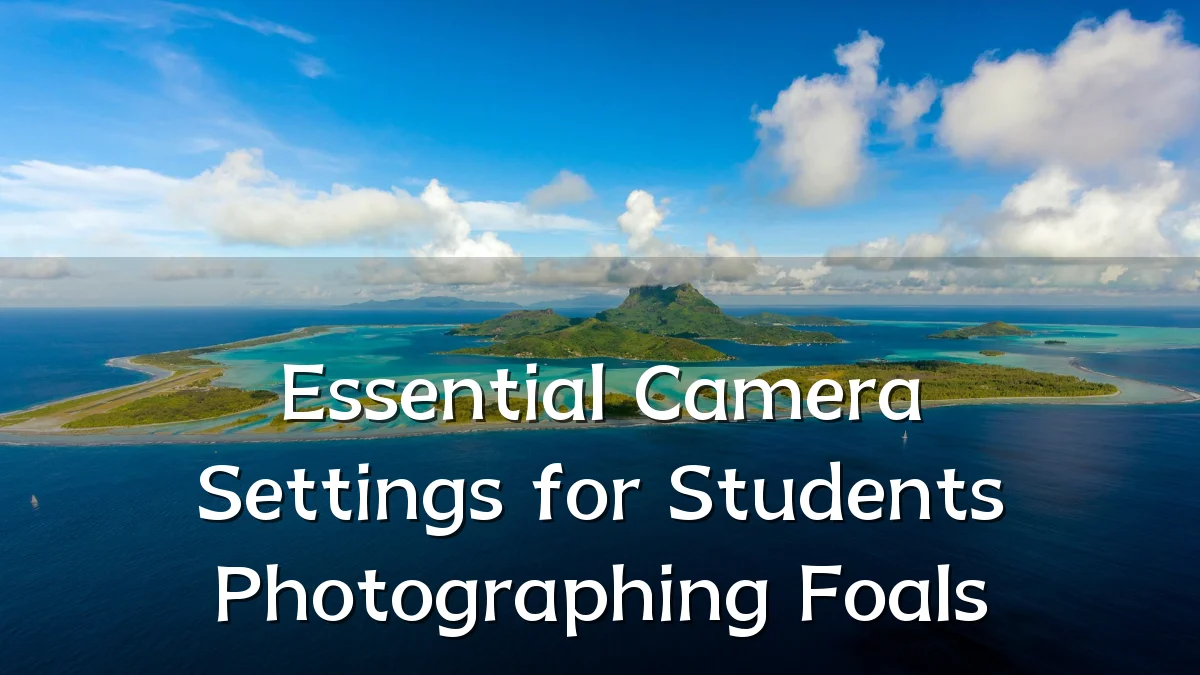 Essential Camera Settings for Students Photographing Foals