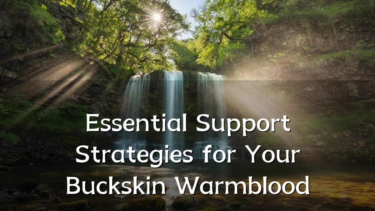 Essential Support Strategies for Your Buckskin Warmblood