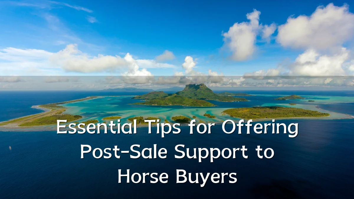 Essential Tips for Offering Post-Sale Support to Horse Buyers