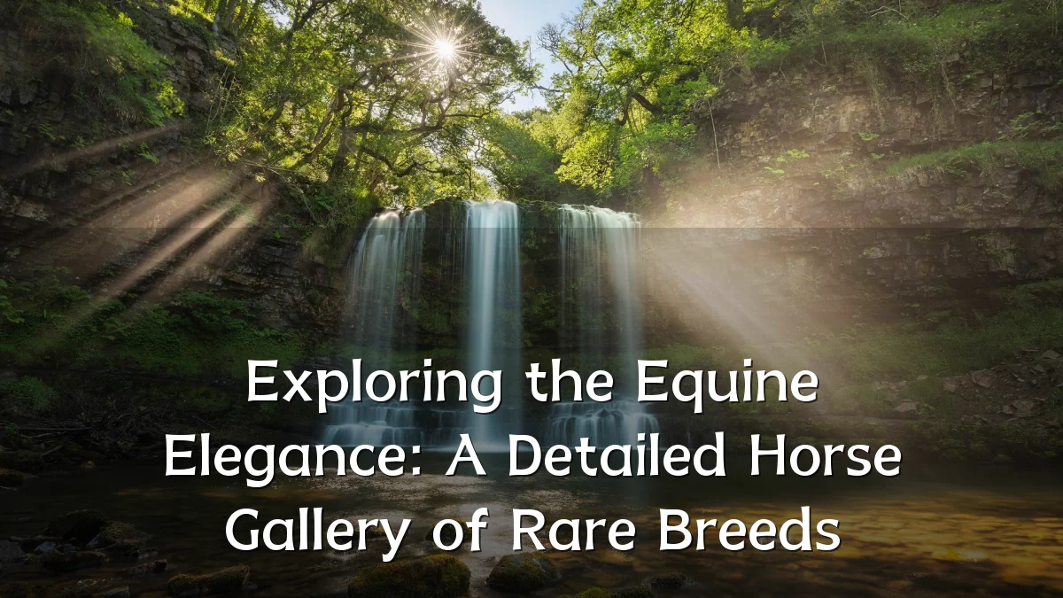 Exploring the Equine Elegance: A Detailed Horse Gallery of Rare Breeds