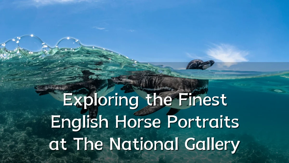 Exploring the Finest English Horse Portraits at The National Gallery