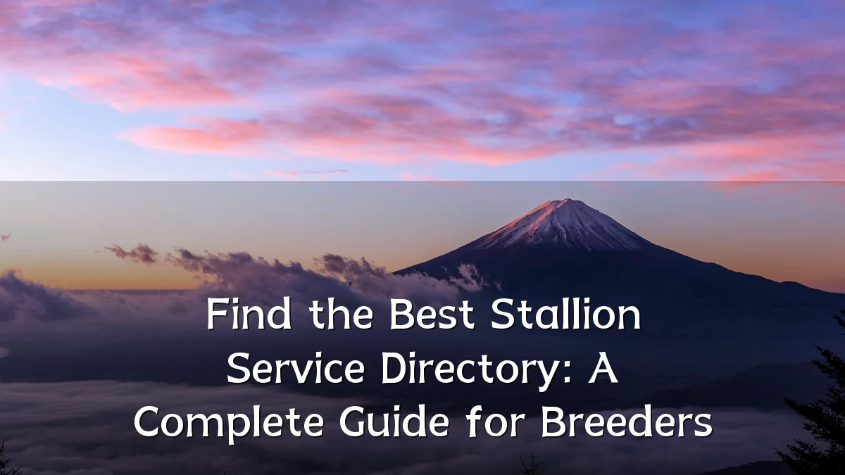 Find the Best Stallion Service Directory: A Complete Guide for Breeders