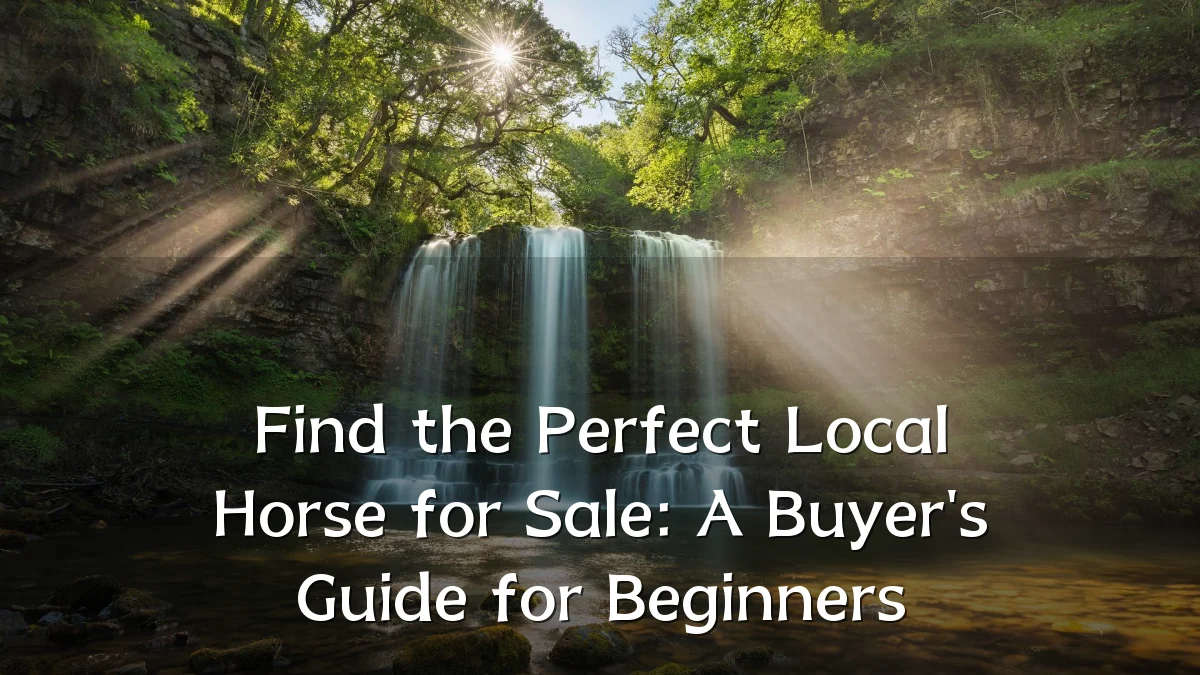 Find the Perfect Local Horse for Sale: A Buyer's Guide for Beginners