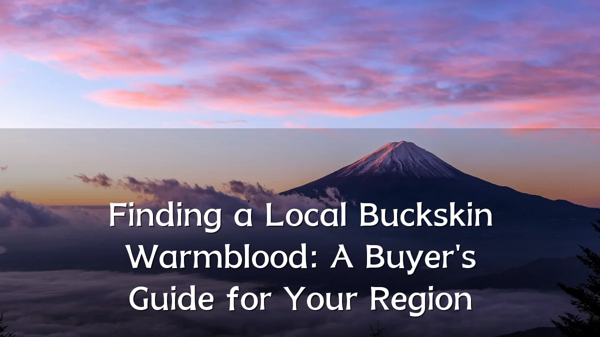 Finding a Local Buckskin Warmblood: A Buyer's Guide for Your Region