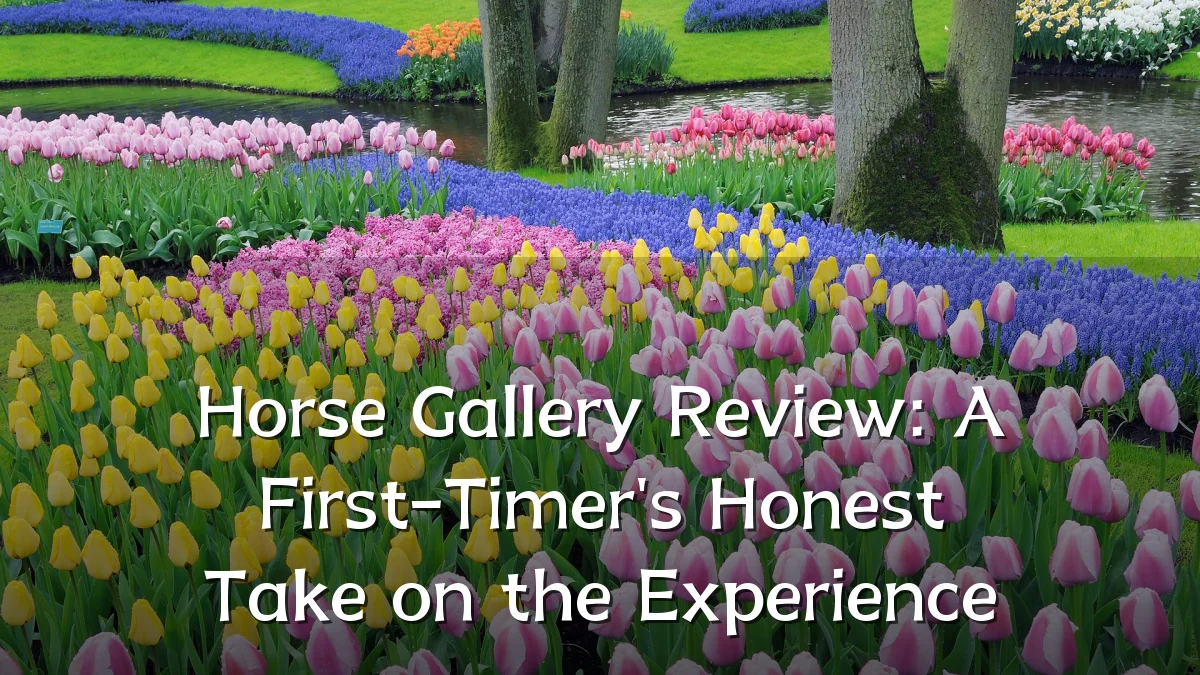Horse Gallery Review: A First-Timer's Honest Take on the Experience