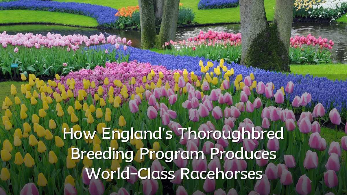 How England's Thoroughbred Breeding Program Produces World-Class Racehorses