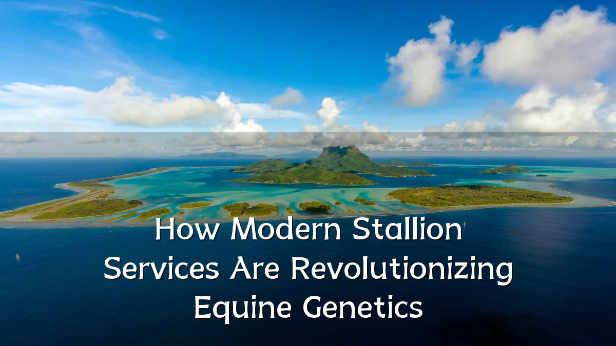 How Modern Stallion Services Are Revolutionizing Equine Genetics