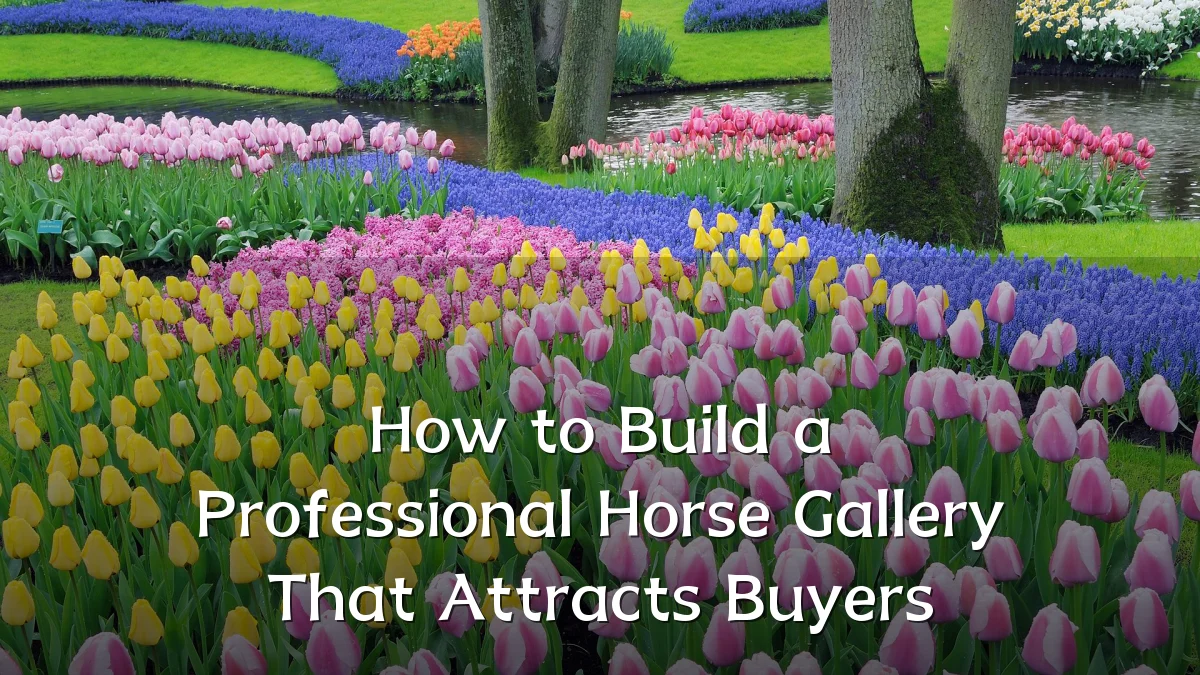 How to Build a Professional Horse Gallery That Attracts Buyers