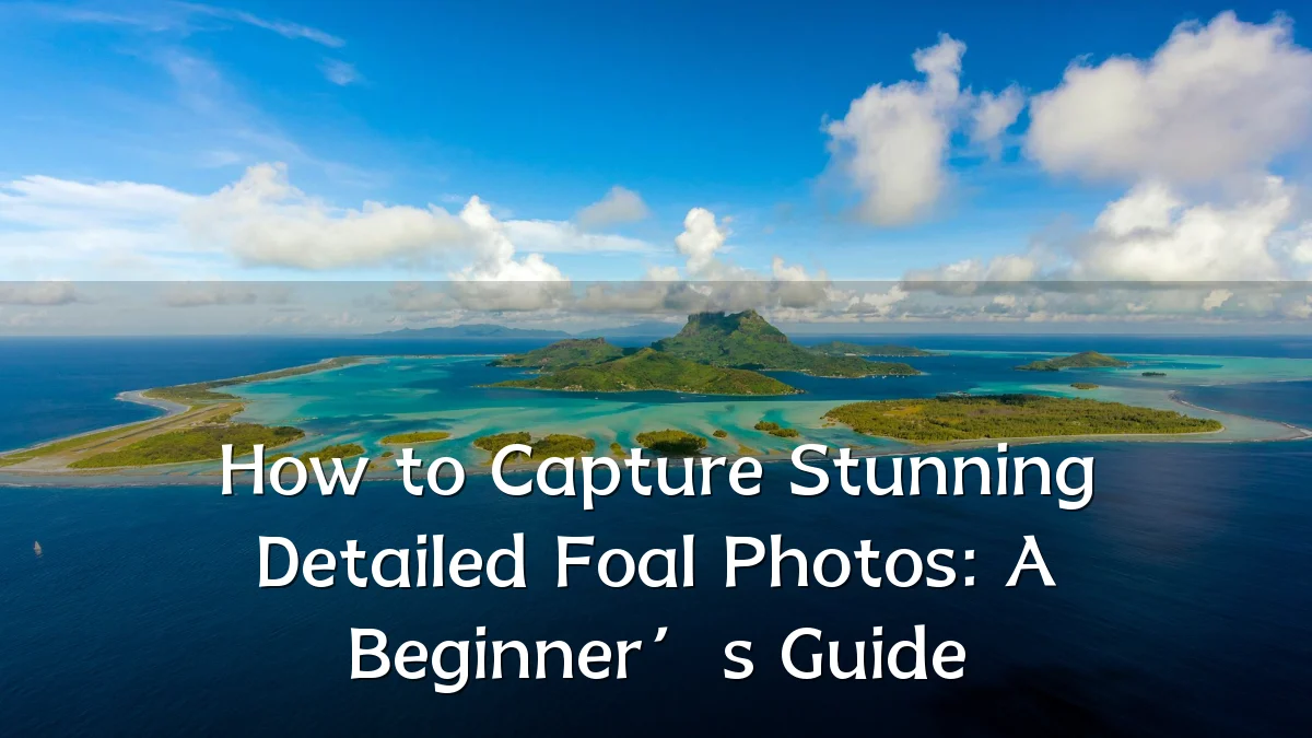 How to Capture Stunning Detailed Foal Photos: A Beginner’s Guide