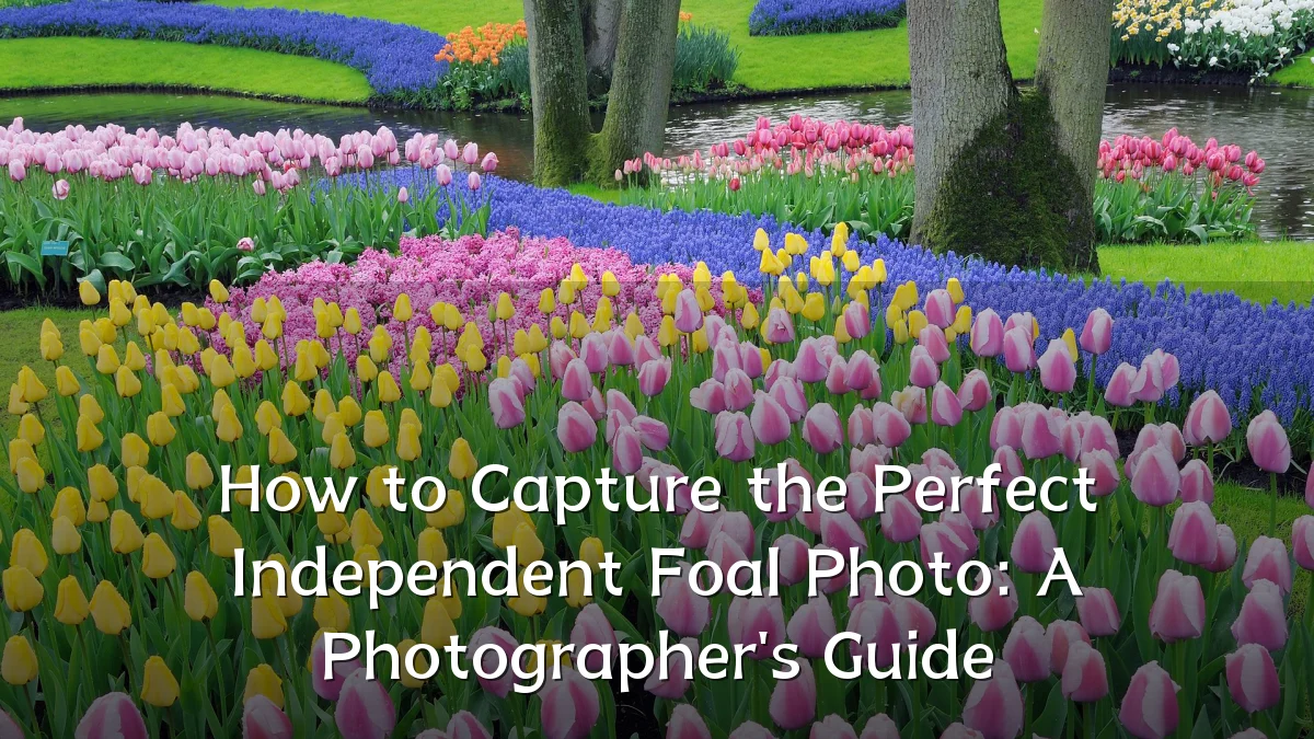 How to Capture the Perfect Independent Foal Photo: A Photographer's Guide