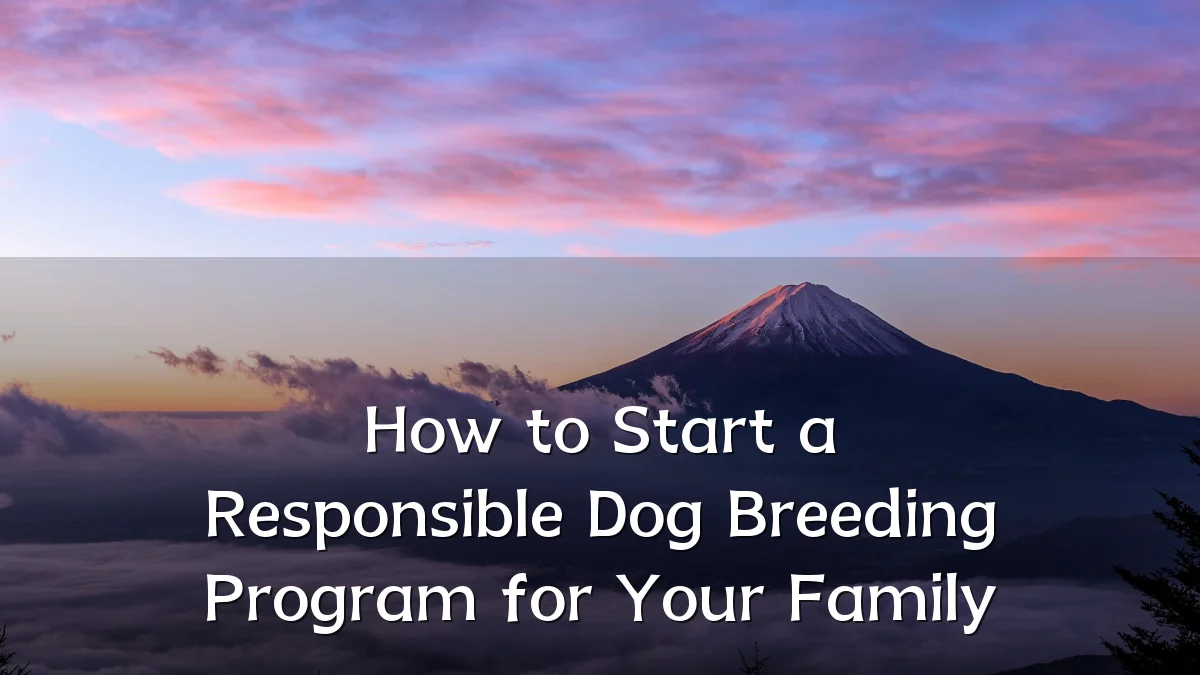 How to Start a Responsible Dog Breeding Program for Your Family