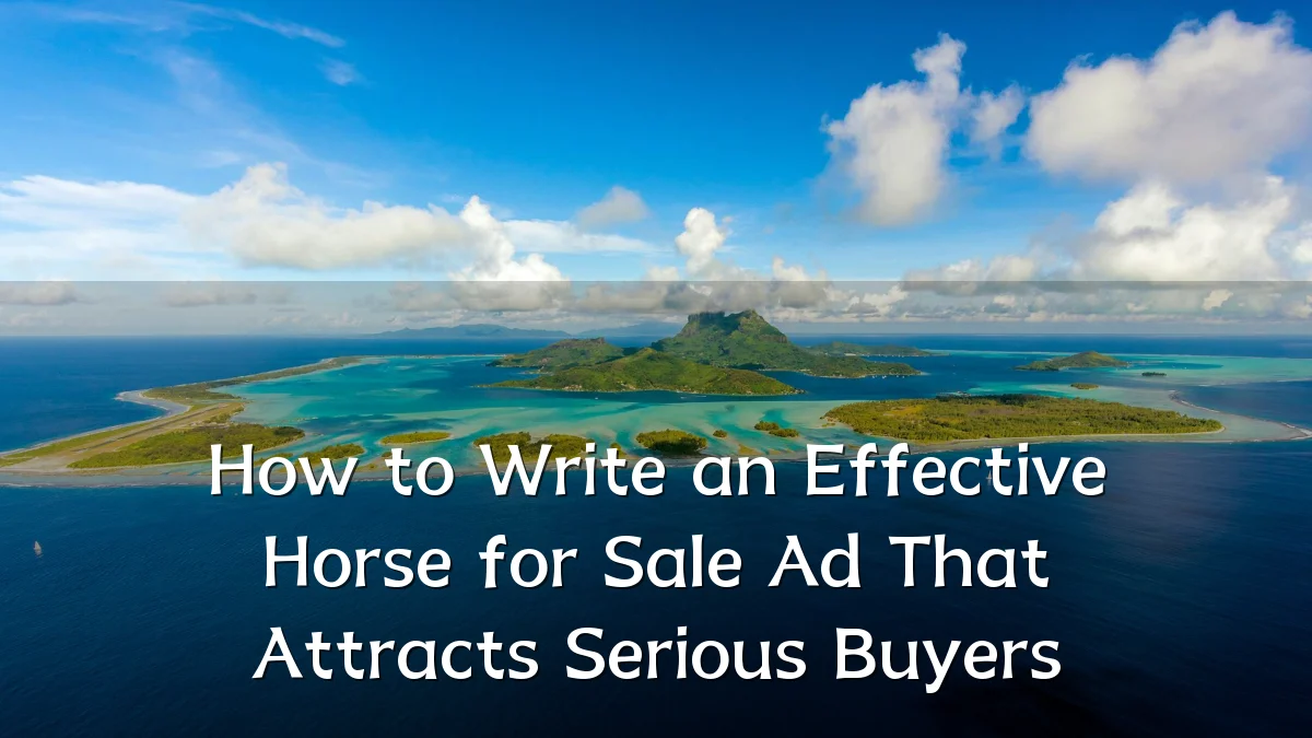 How to Write an Effective Horse for Sale Ad That Attracts Serious Buyers