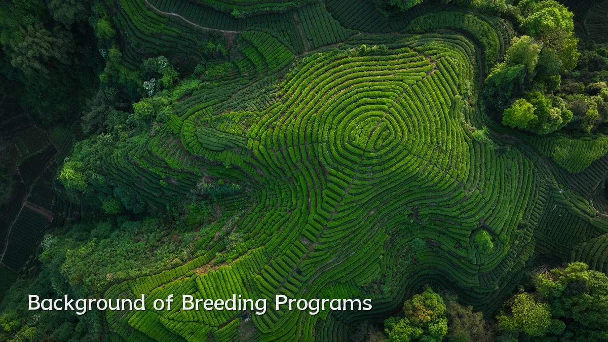 Background of Breeding Programs