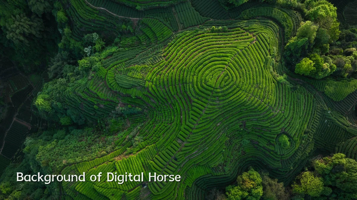 Background of Digital Horse