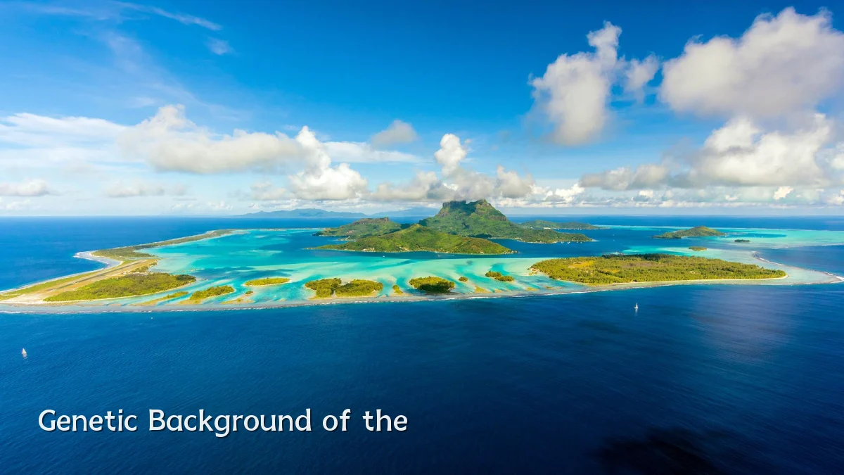 Genetic Background of the