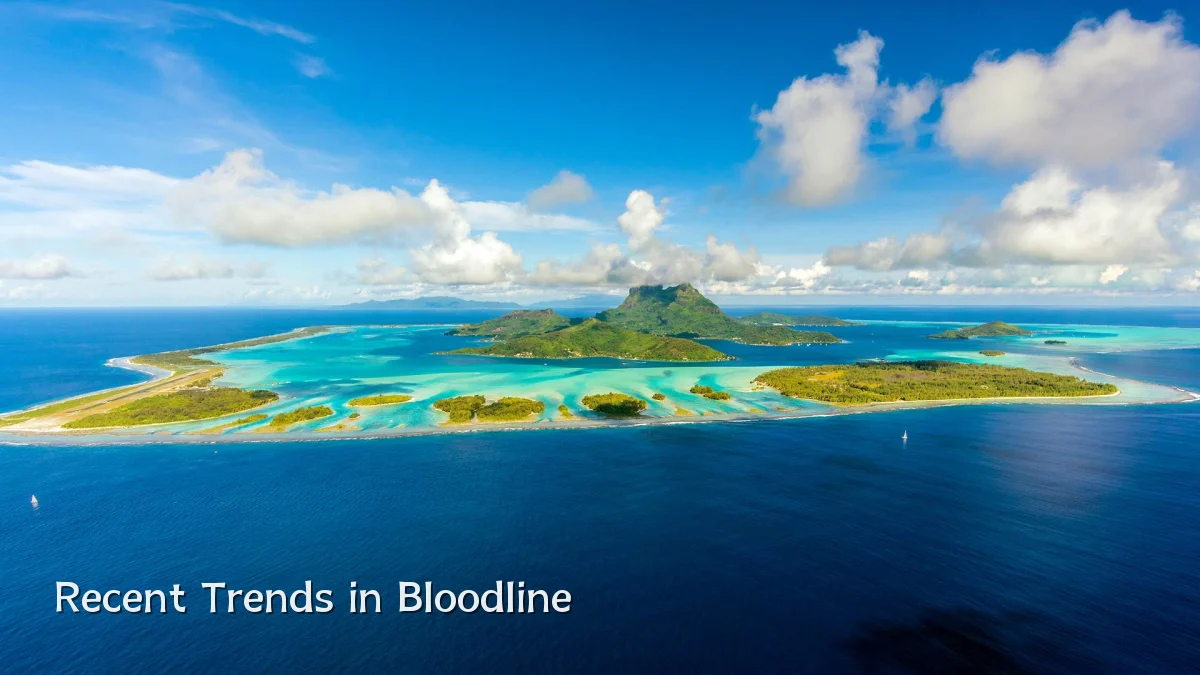 Recent Trends in Bloodline