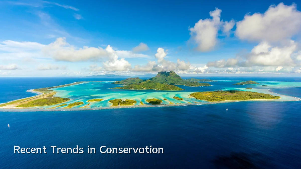 Recent Trends in Conservation