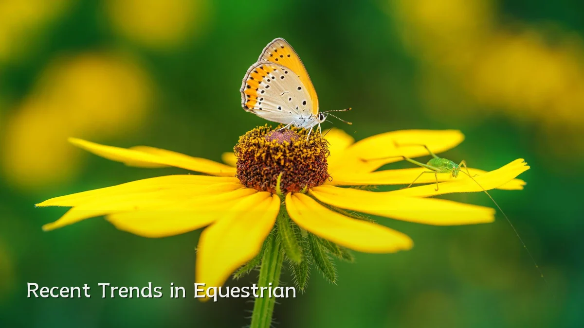 Recent Trends in Equestrian