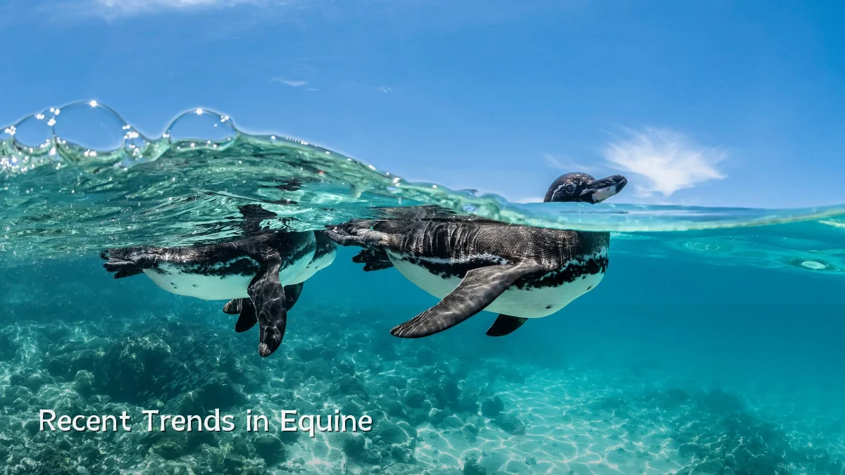 Recent Trends in Equine
