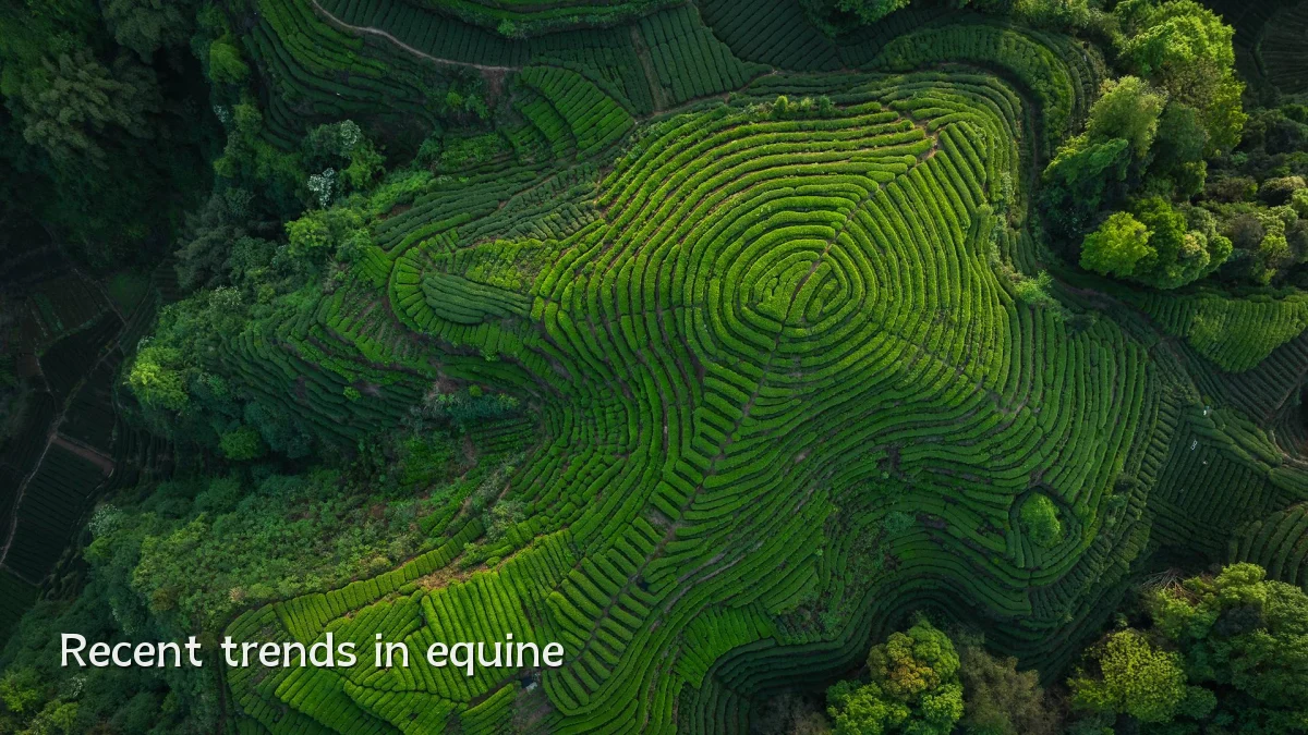 Recent trends in equine