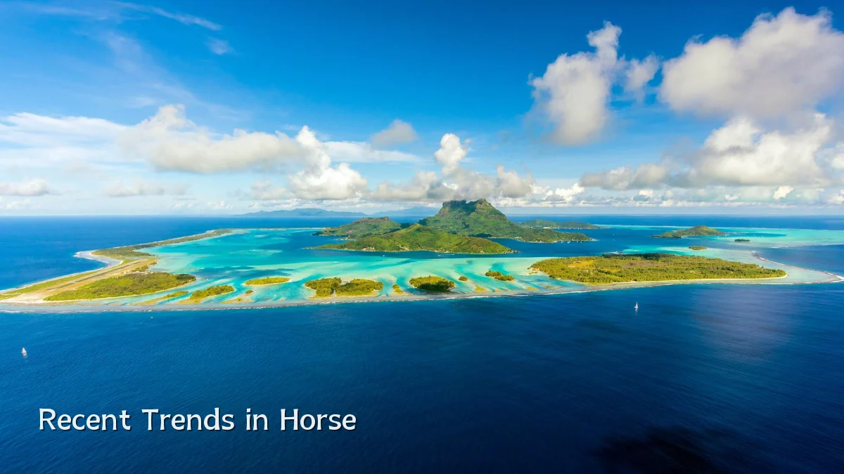 Recent Trends in Horse