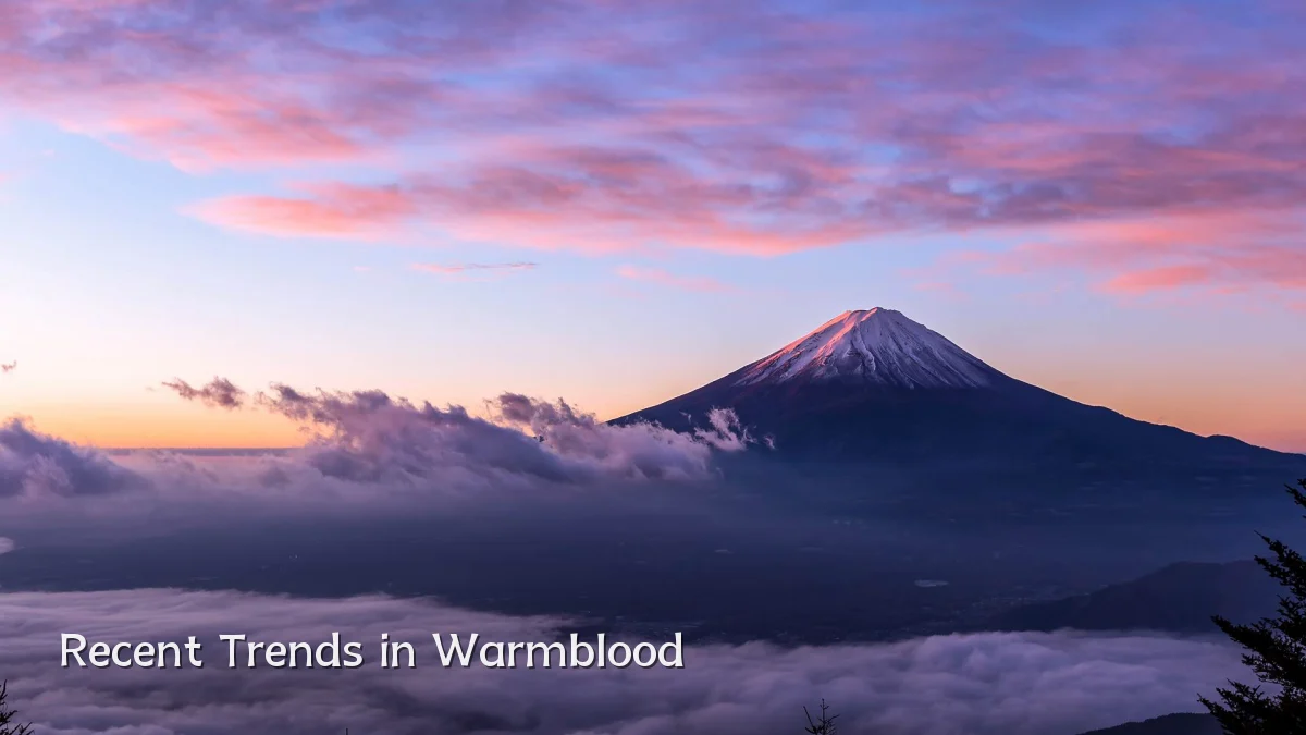 Recent Trends in Warmblood