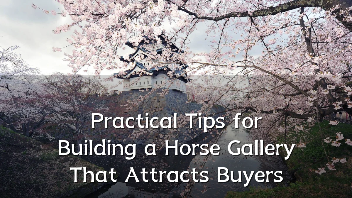 Practical Tips for Building a Horse Gallery That Attracts Buyers