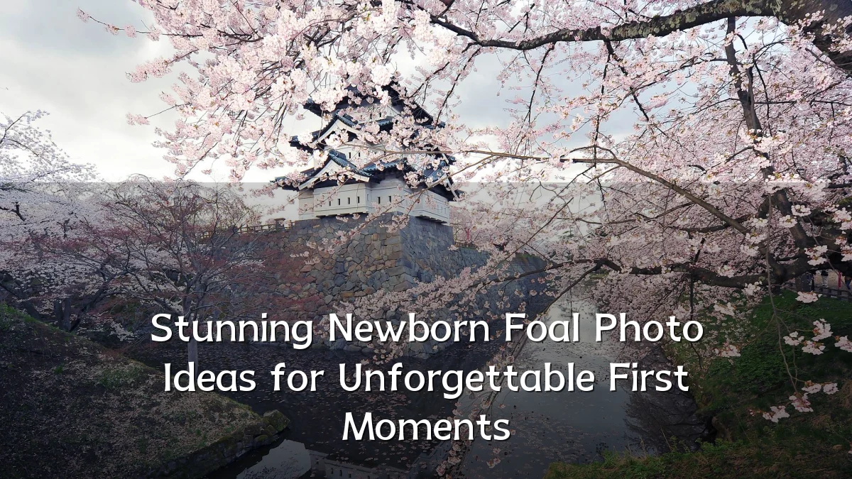 Stunning Newborn Foal Photo Ideas for Unforgettable First Moments